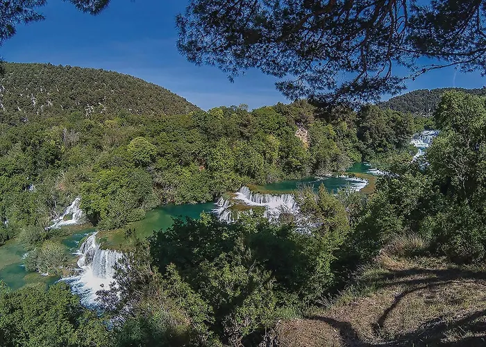 In With Wifi Zaboric